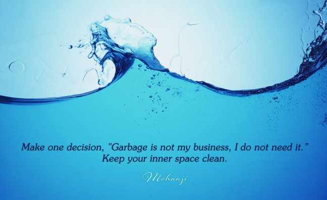 Mohanji quote - Make one decision Garbage is not my business