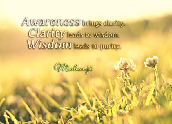 Mohanji quotes - Awareness brings clarity