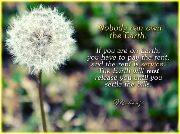 Mohanji quote - Nobody can own the Earth