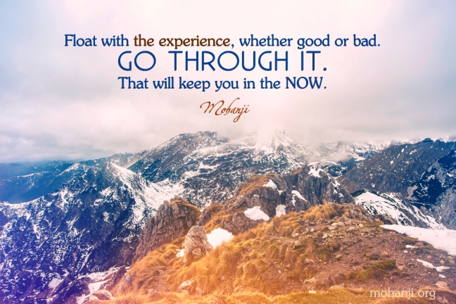Mohanji quote -- Float with the experience